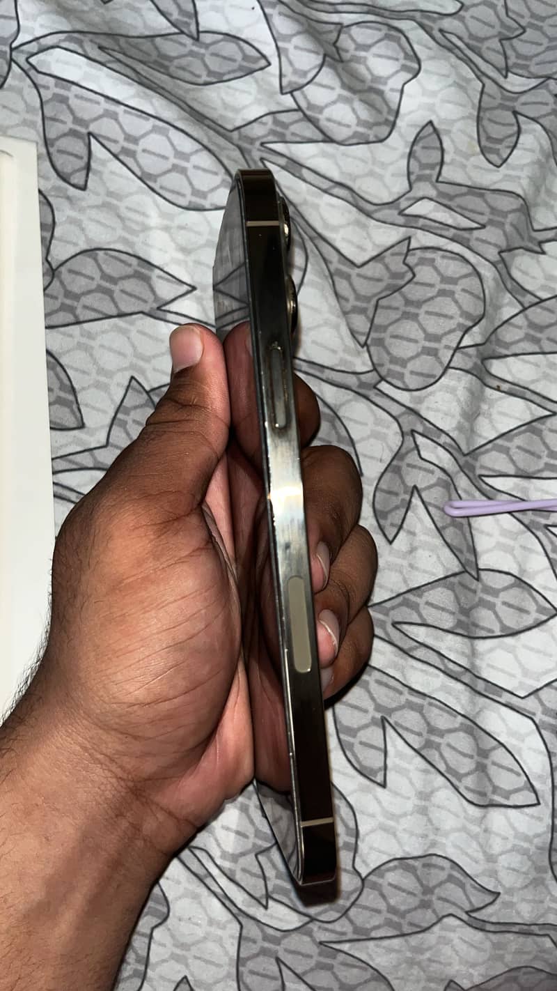 Apple iPhone 13 Pro Max 2