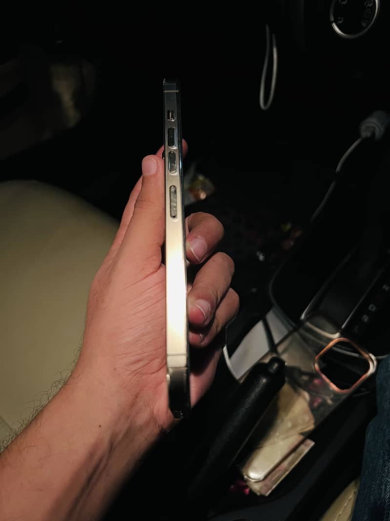 Apple iPhone 13 Pro Max 1