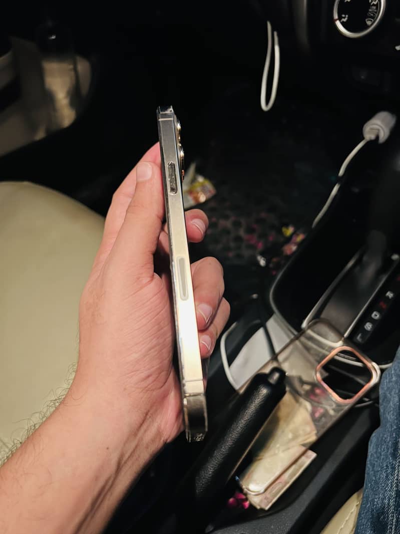 Apple iPhone 13 Pro Max 2
