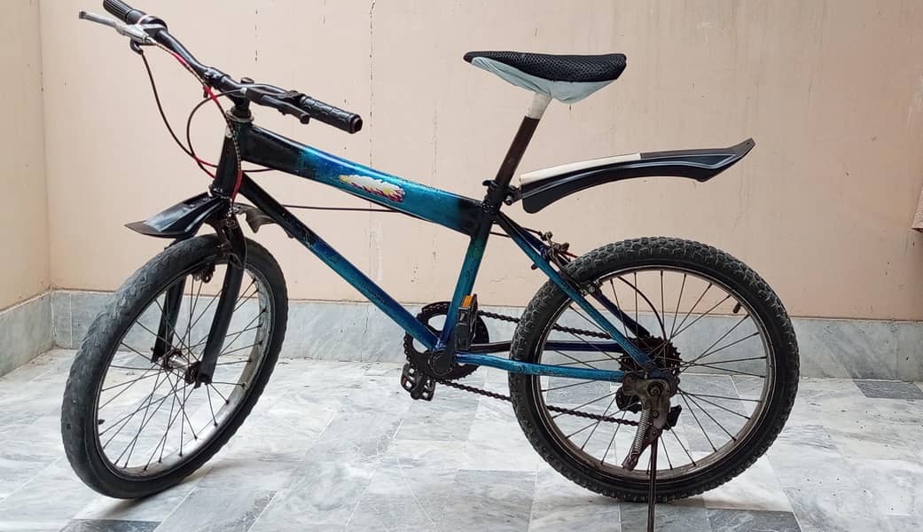 Geared BIcycle 1