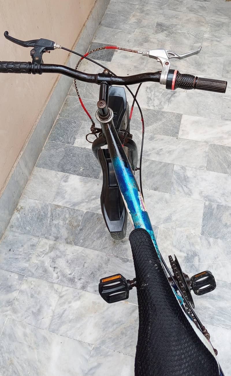 Geared BIcycle 3