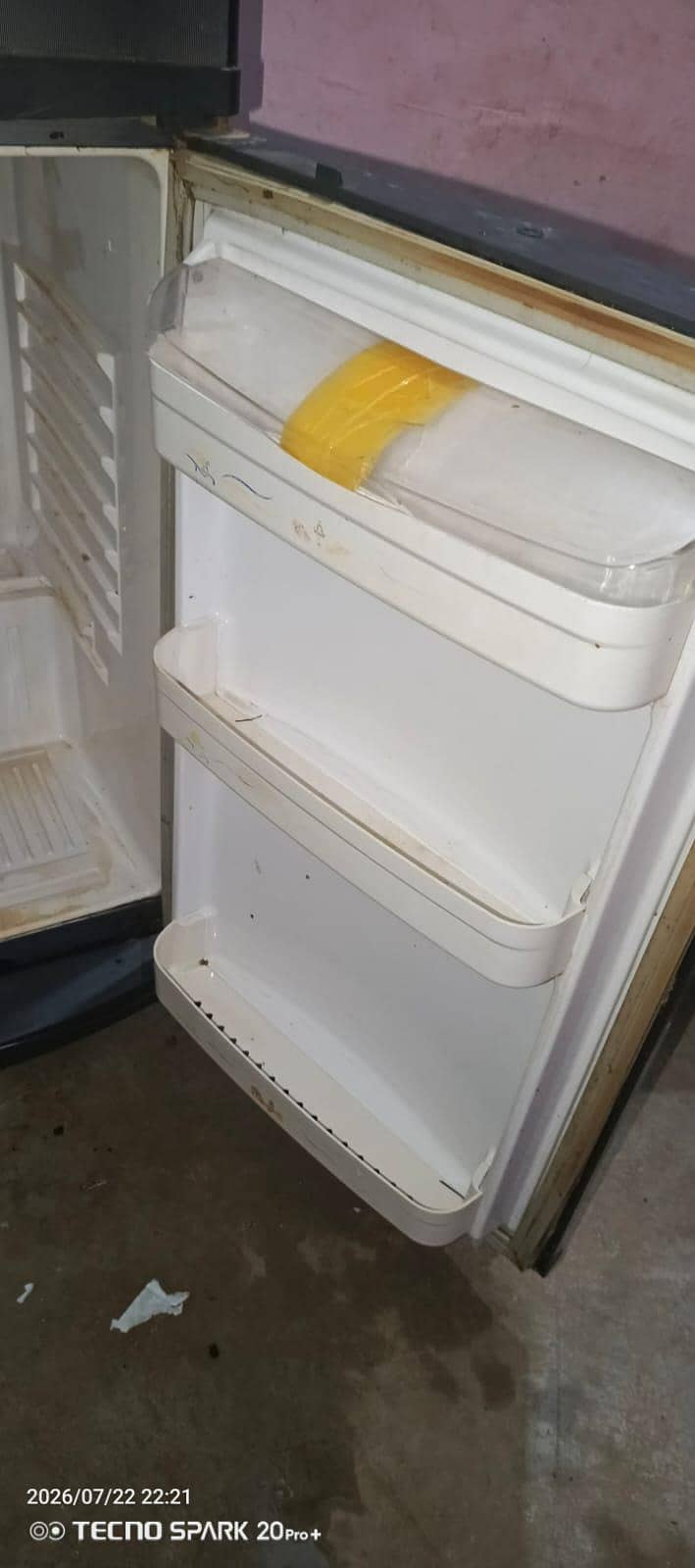 medium freege 2