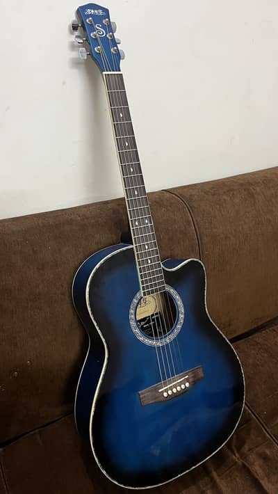 Professional Acustic Guitar
