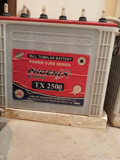 Phoenix Tubular Batteries (TX-2500 - 230Ah-12V)