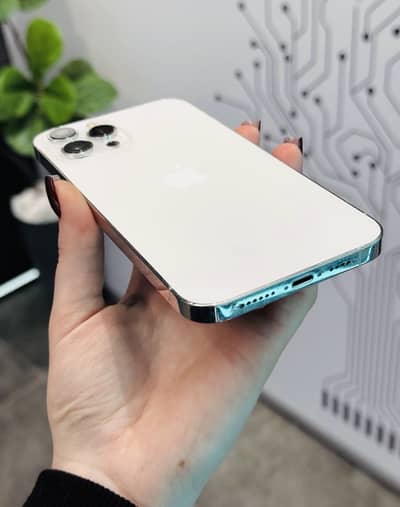 Apple iPhone 12 Pro Max