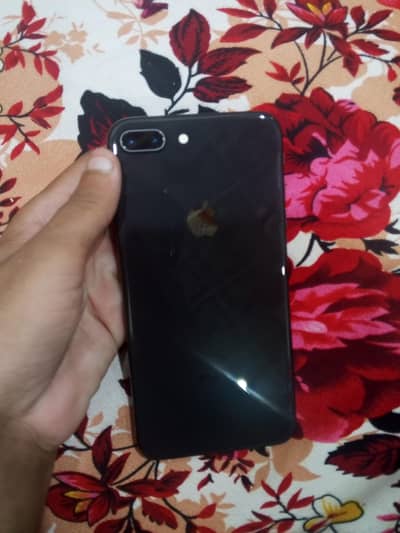 Apple iPhone 8 Plus Whatsapp 0304/31/22/744