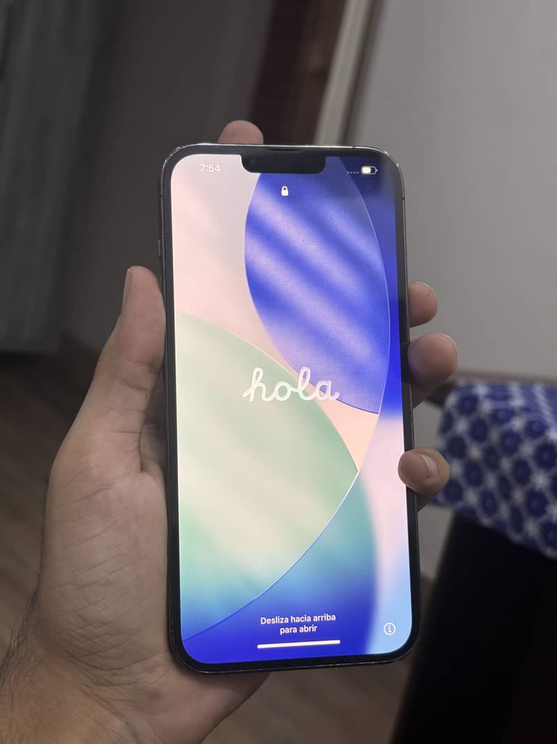 Apple iPhone 13 Pro Max 1