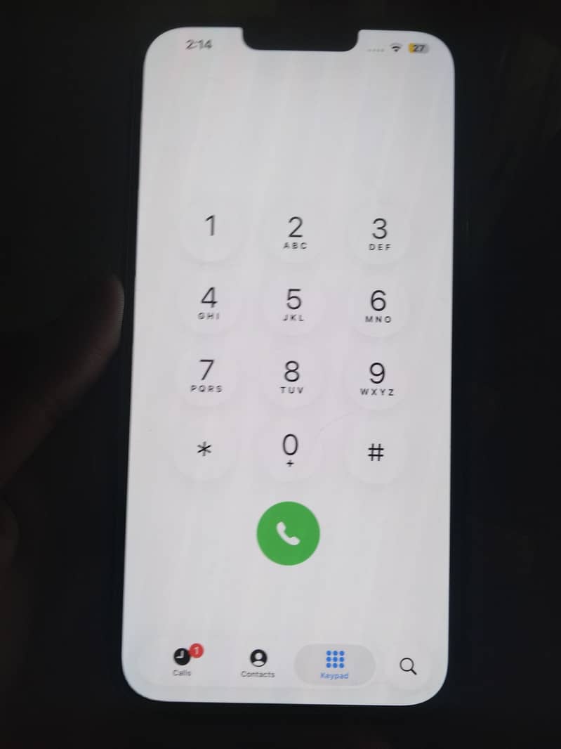 Apple iPhone 13 Pro Max 1
