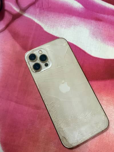 Apple iPhone 12 Pro Max