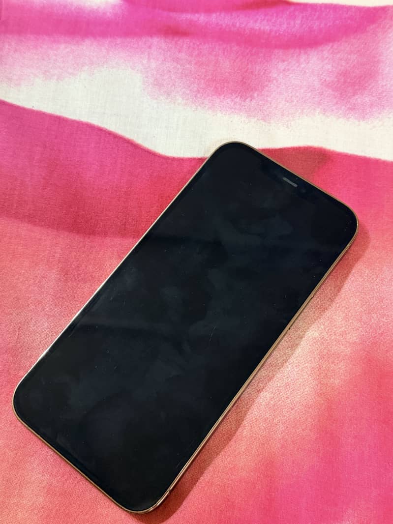 Apple iPhone 12 Pro Max 1