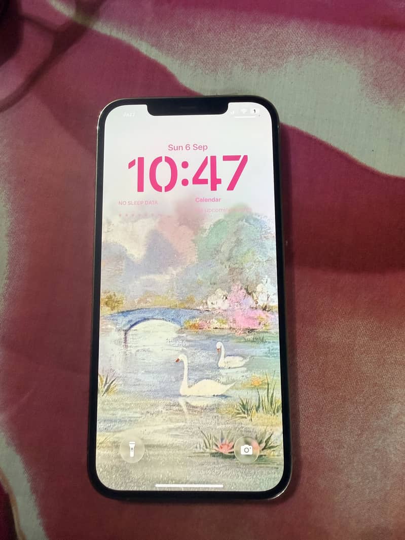 Apple iPhone 12 Pro Max 2