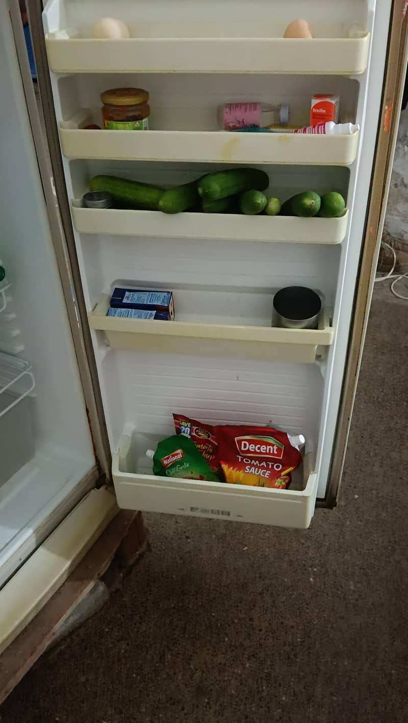 downlance medium size fridge 2
