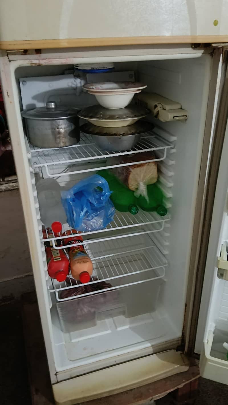 downlance medium size fridge 3