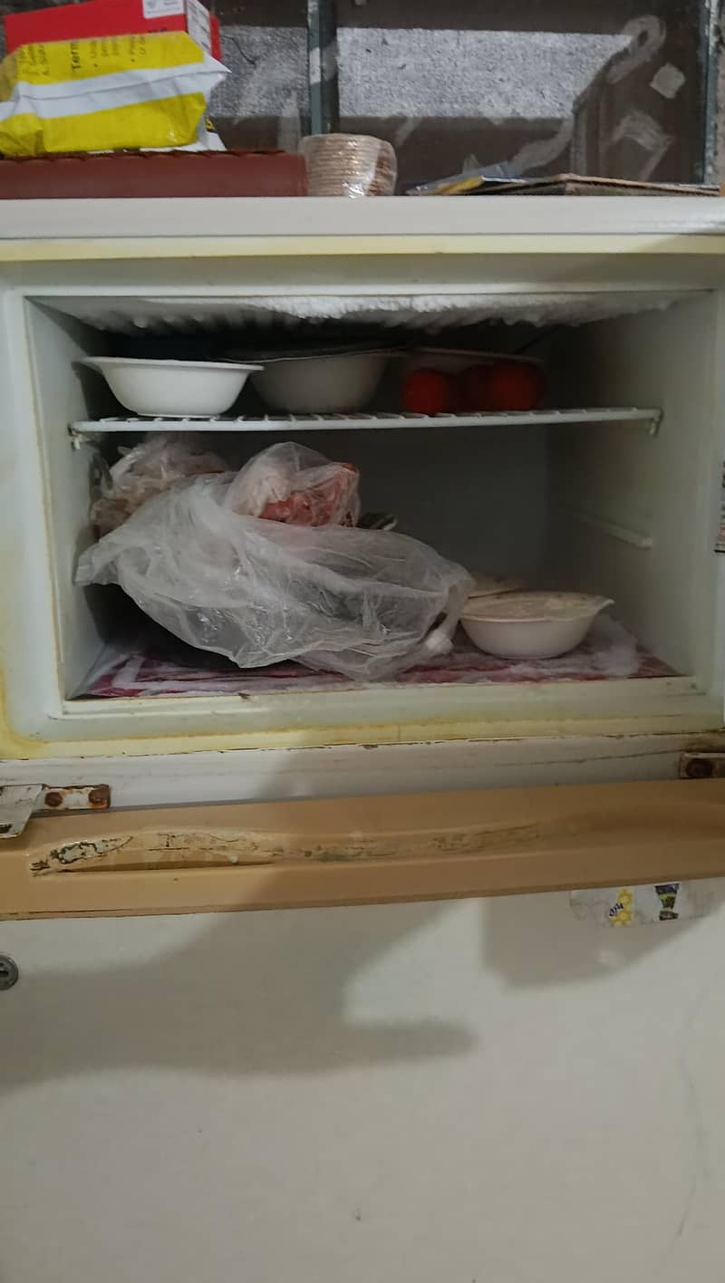 downlance medium size fridge 4