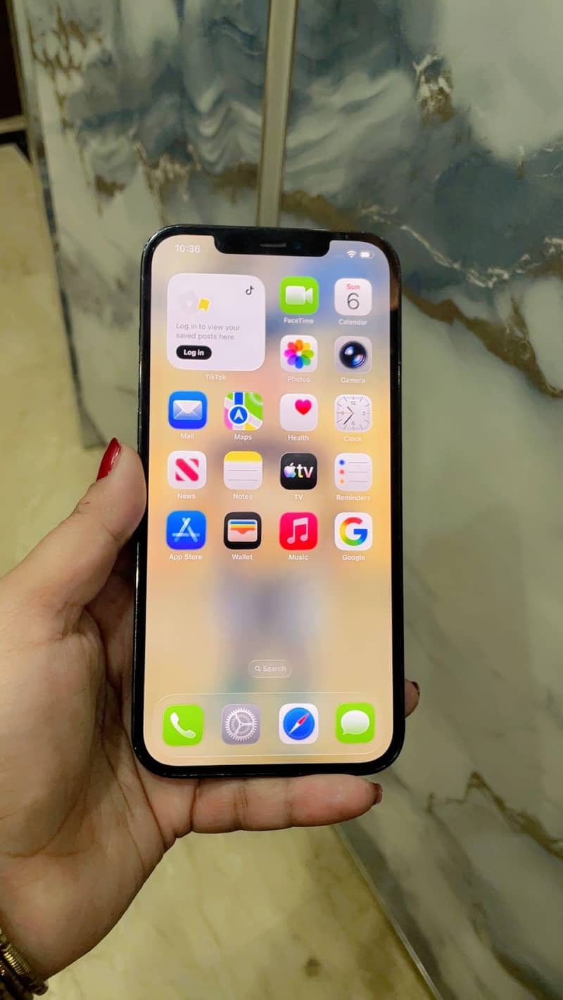 Apple iPhone 12 Pro Max 1