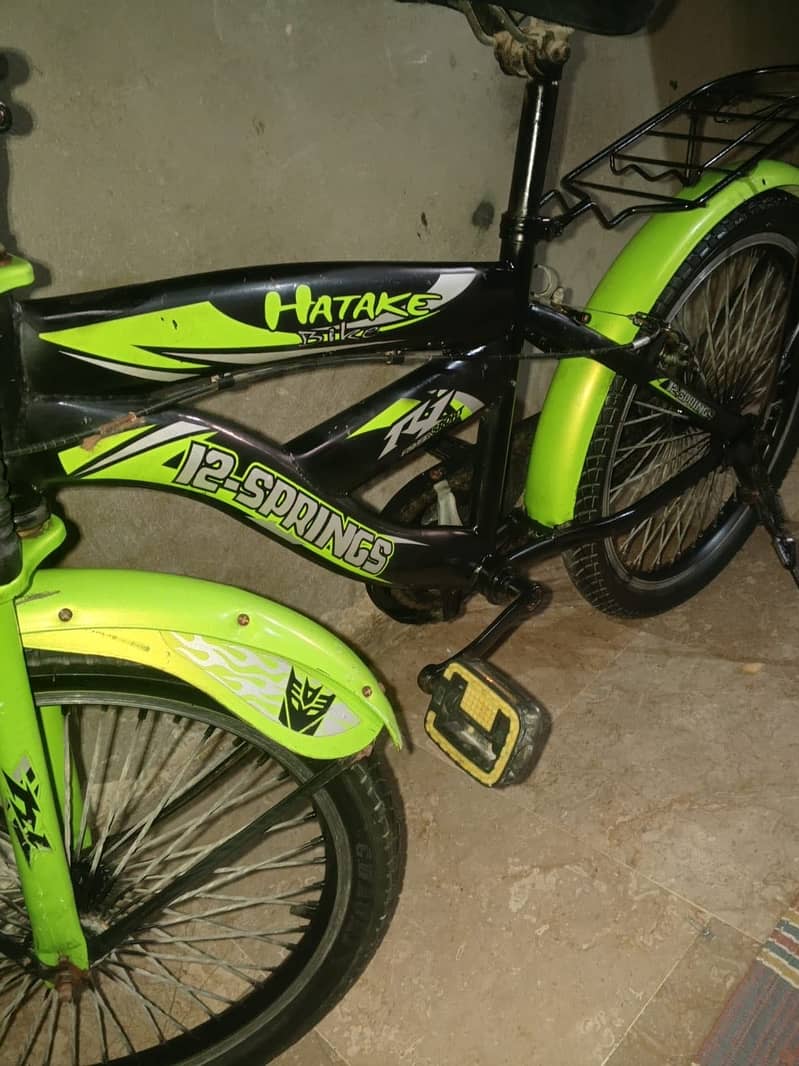 12 spring bicycle 1