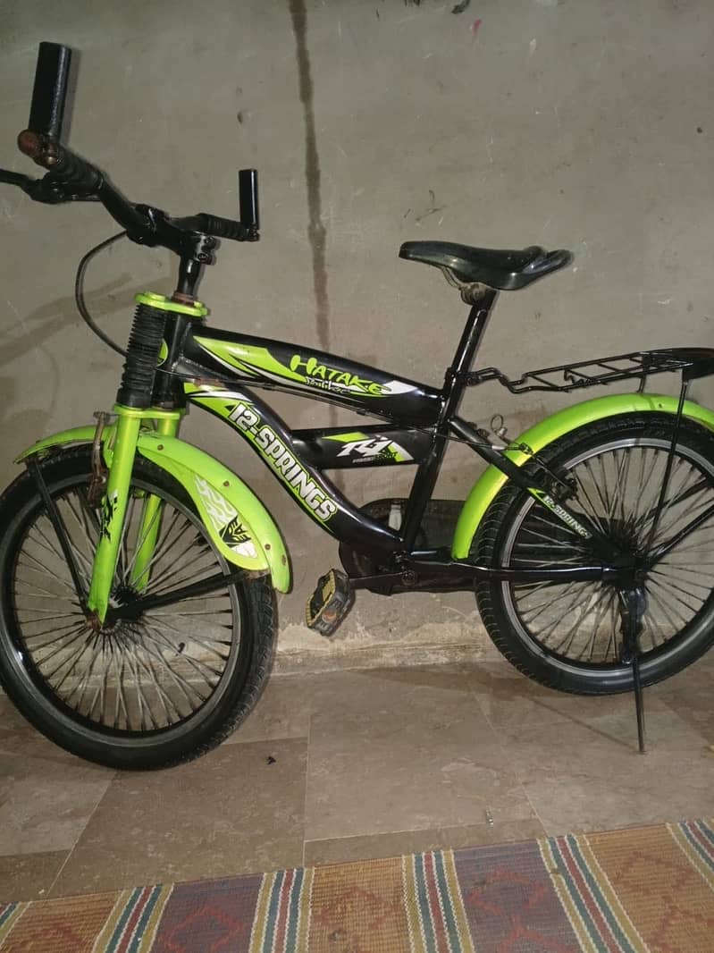 12 spring bicycle 2