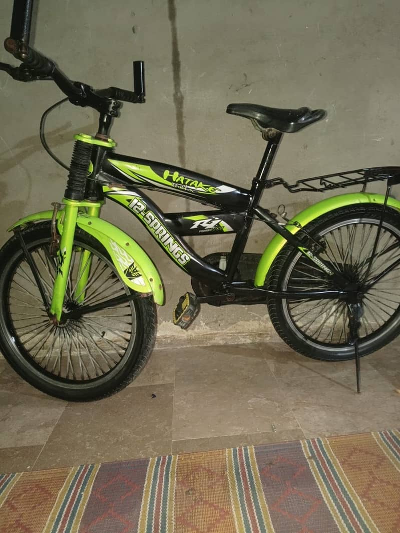 12 spring bicycle 3