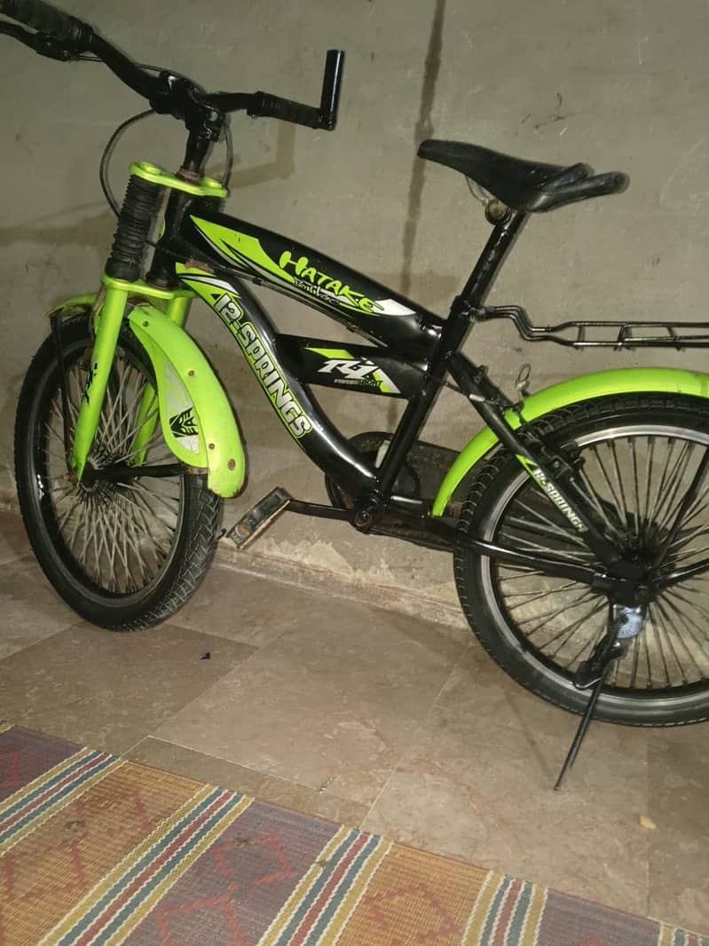 12 spring bicycle 4