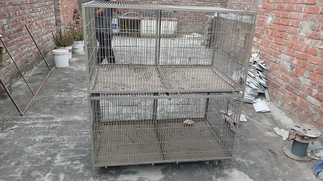 2 pinjary (Cages) — photo 3