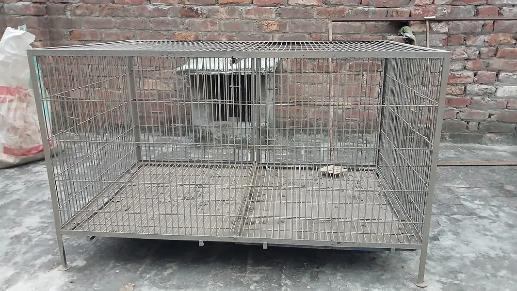 2 pinjary (Cages)