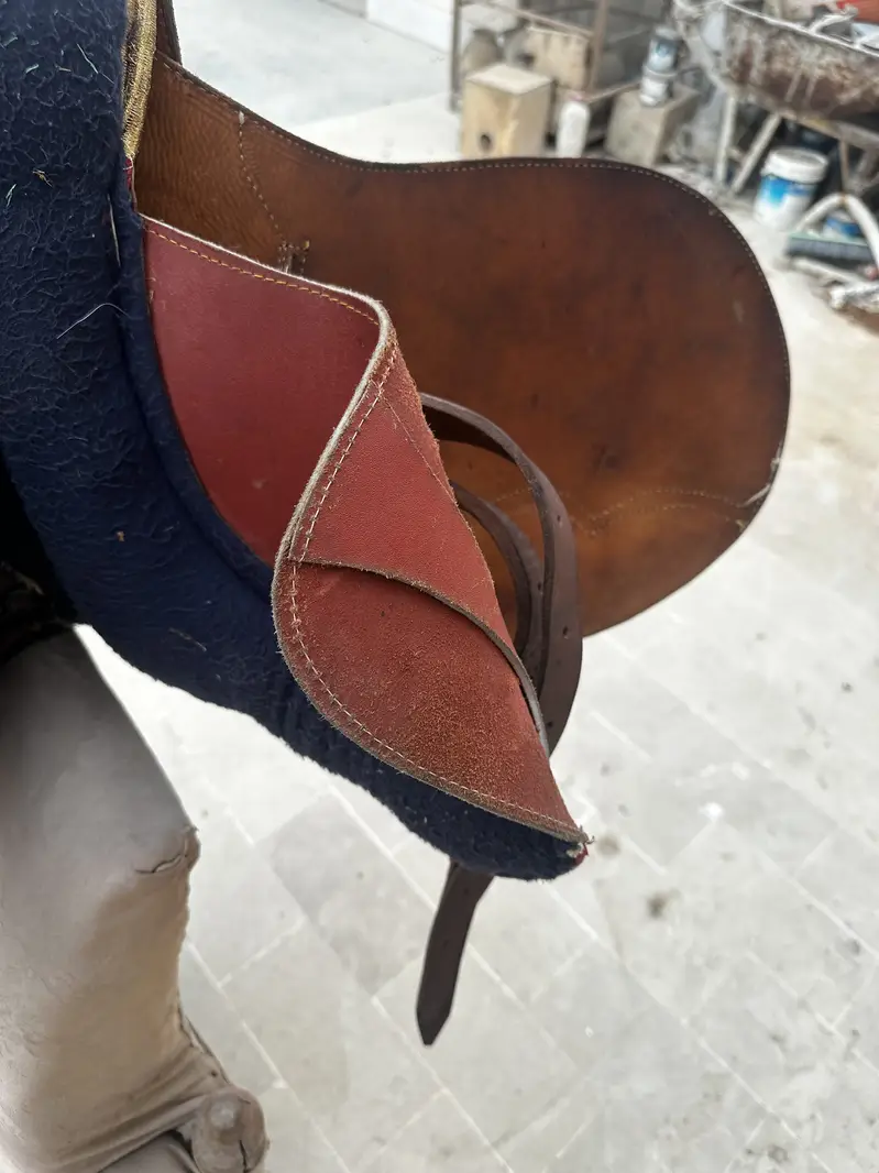 Horse saddle zeen — photo 8