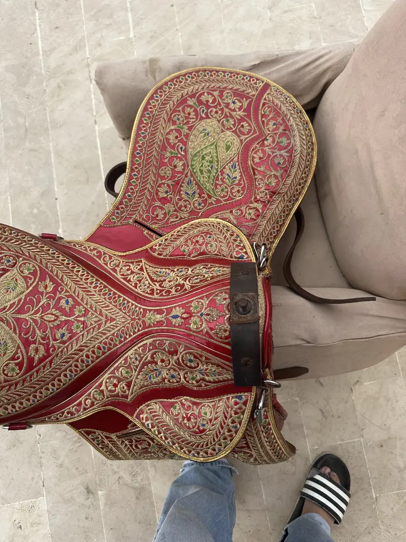 Horse saddle zeen — photo 12