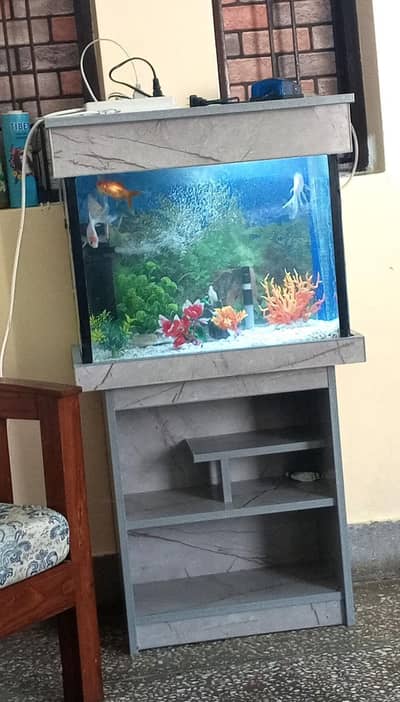 Fish Aquarium