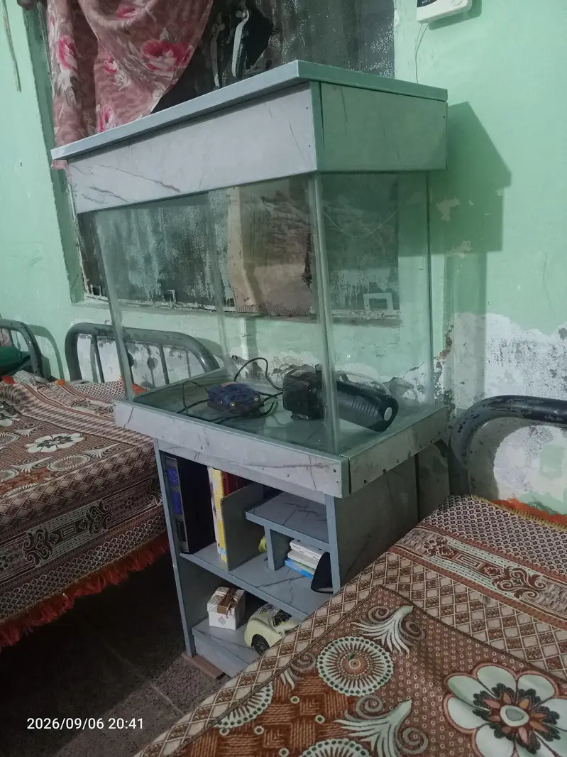 Fish Aquarium — photo 3