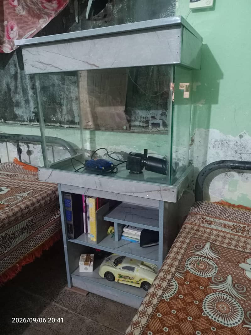 Fish Aquarium 3