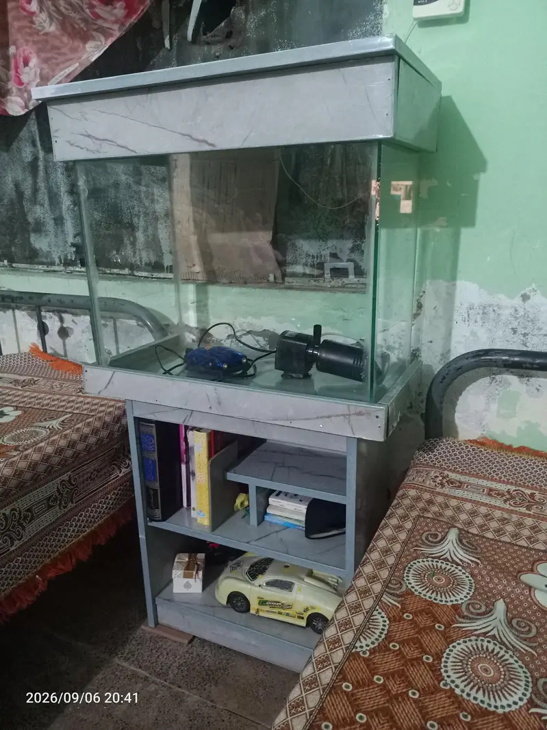 Fish Aquarium — photo 4