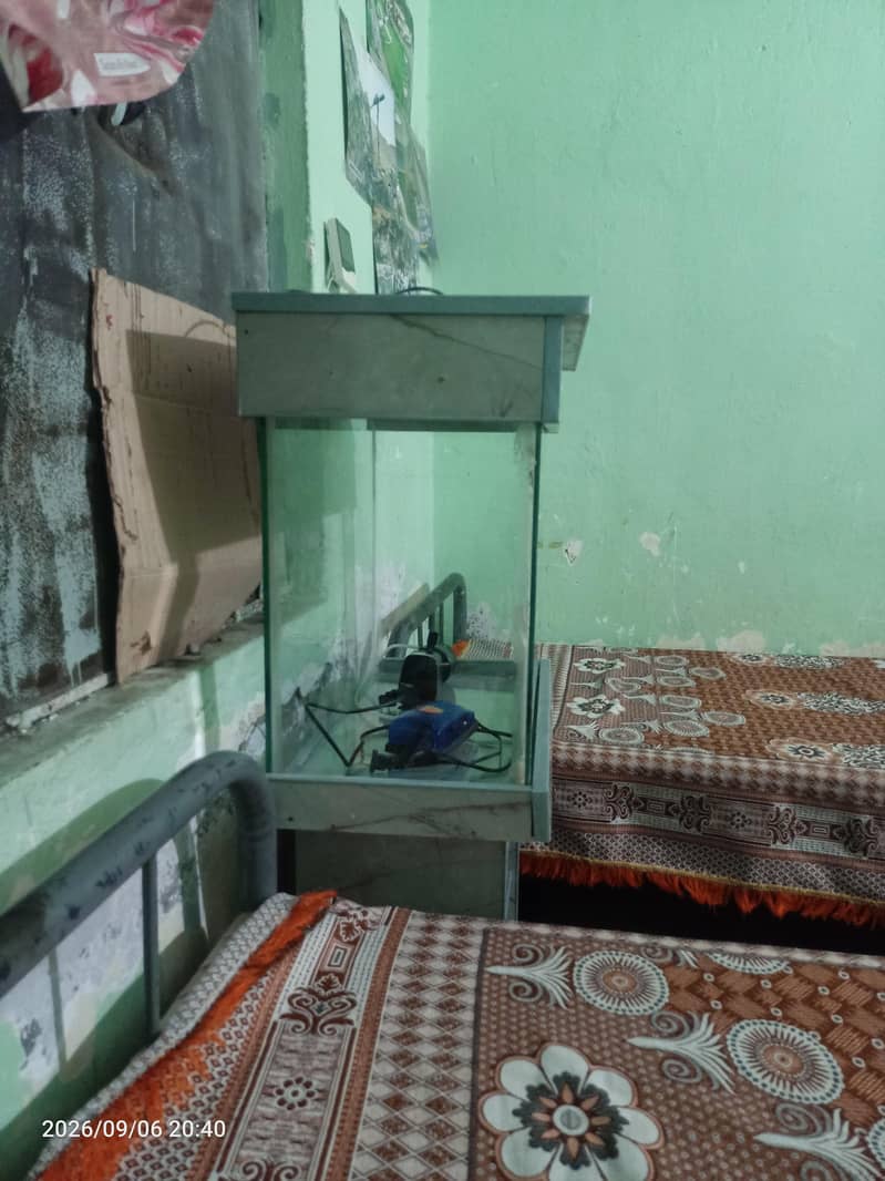 Fish Aquarium 5