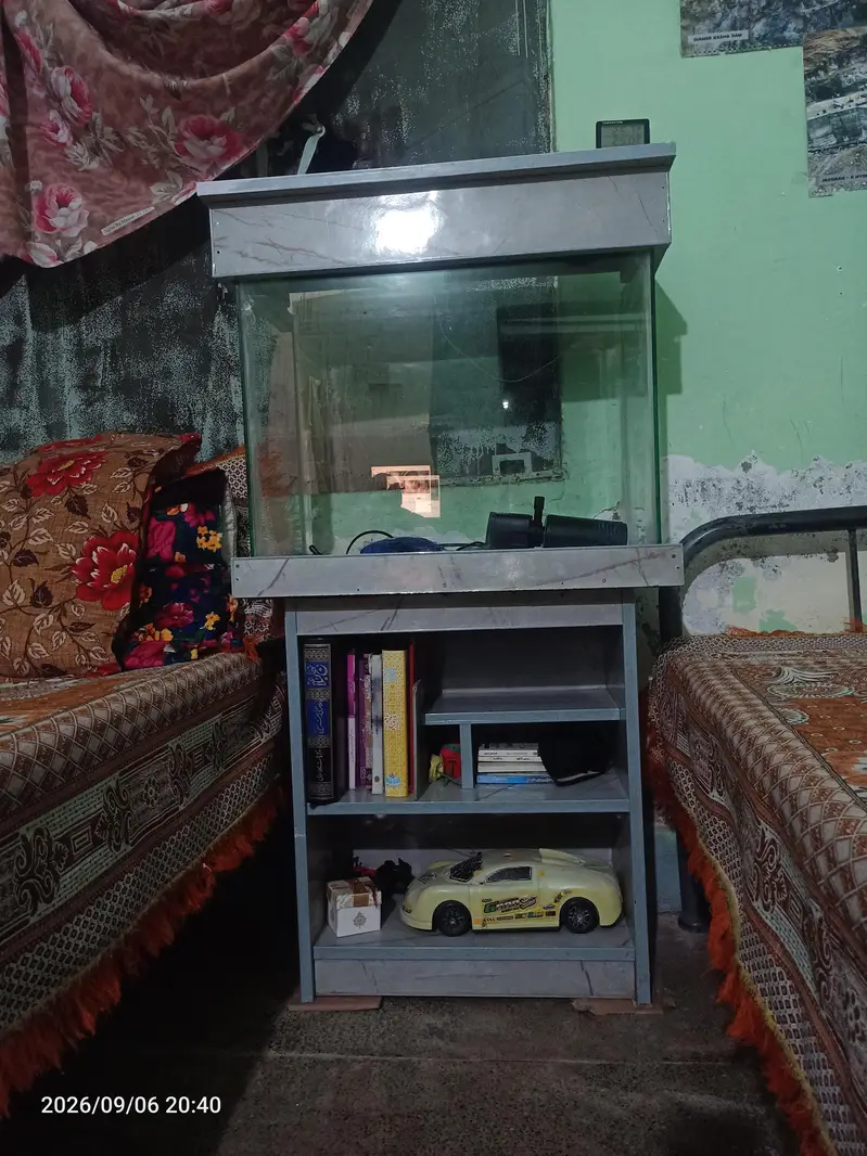 Fish Aquarium — photo 7
