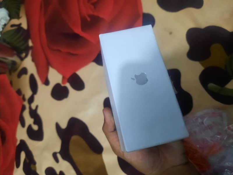 apple 0