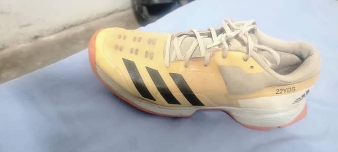 Cricket spikes shoes