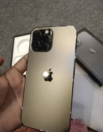 Apple iPhone 13 Pro Max