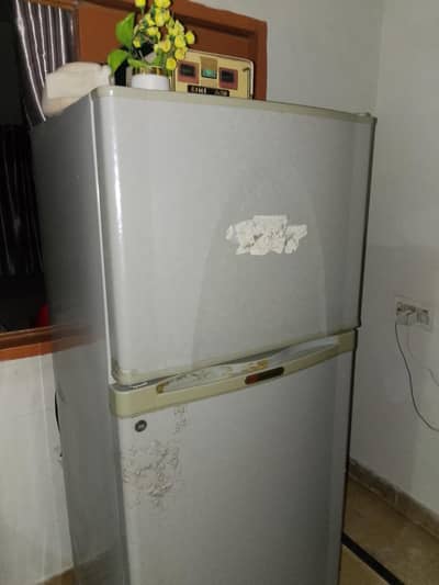 dalwance freezer