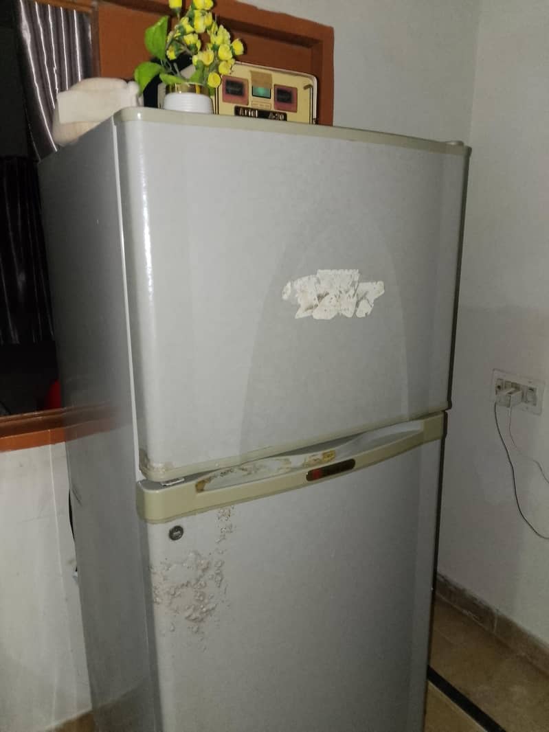 dalwance freezer 0