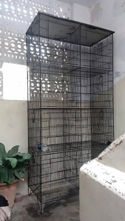 birds cage