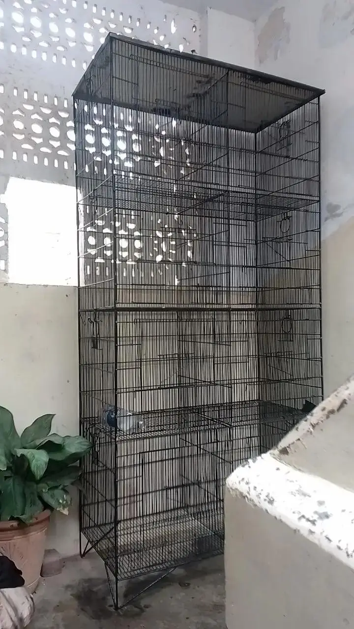 birds cage — photo 2