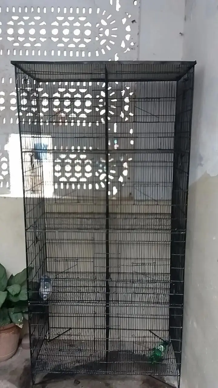 birds cage — photo 6