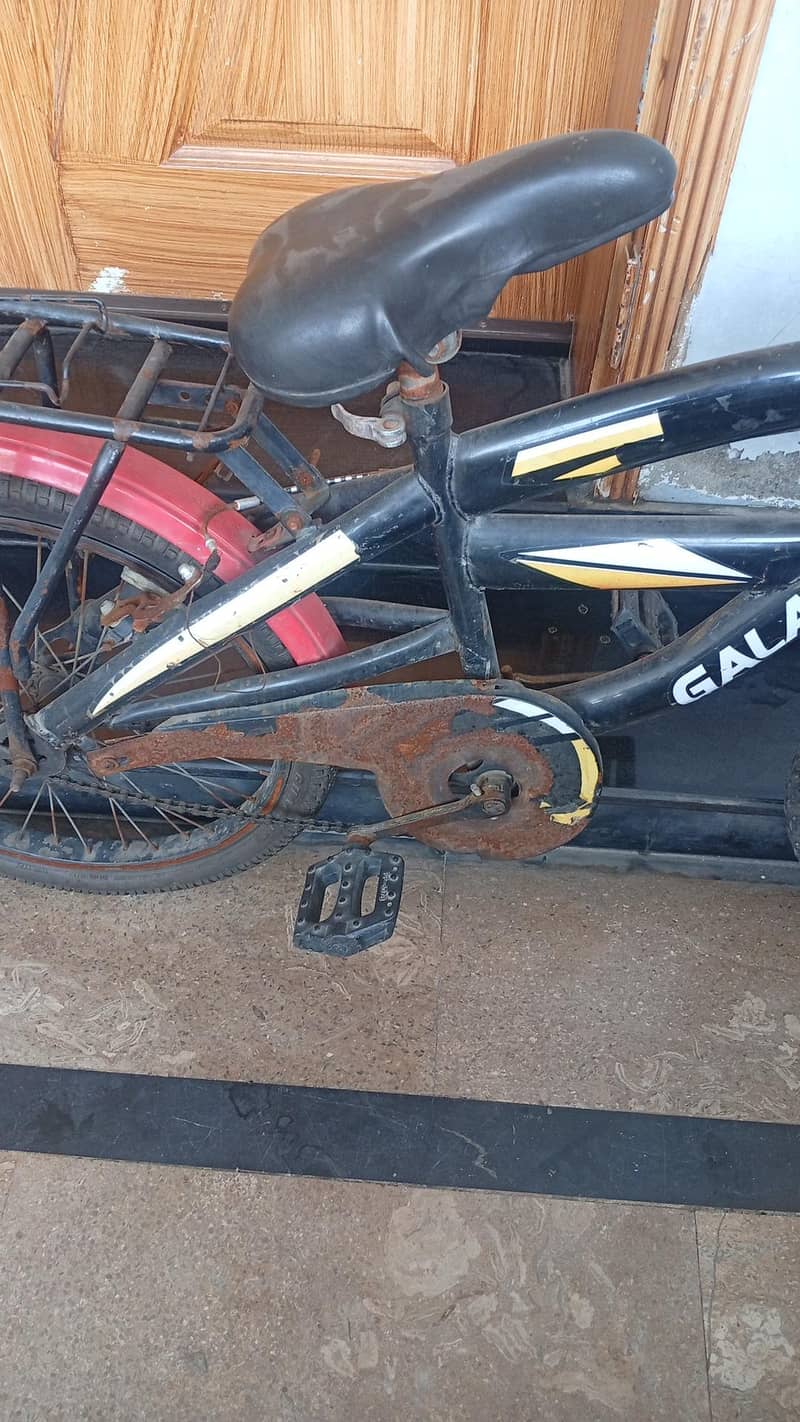 cycle size 20 2