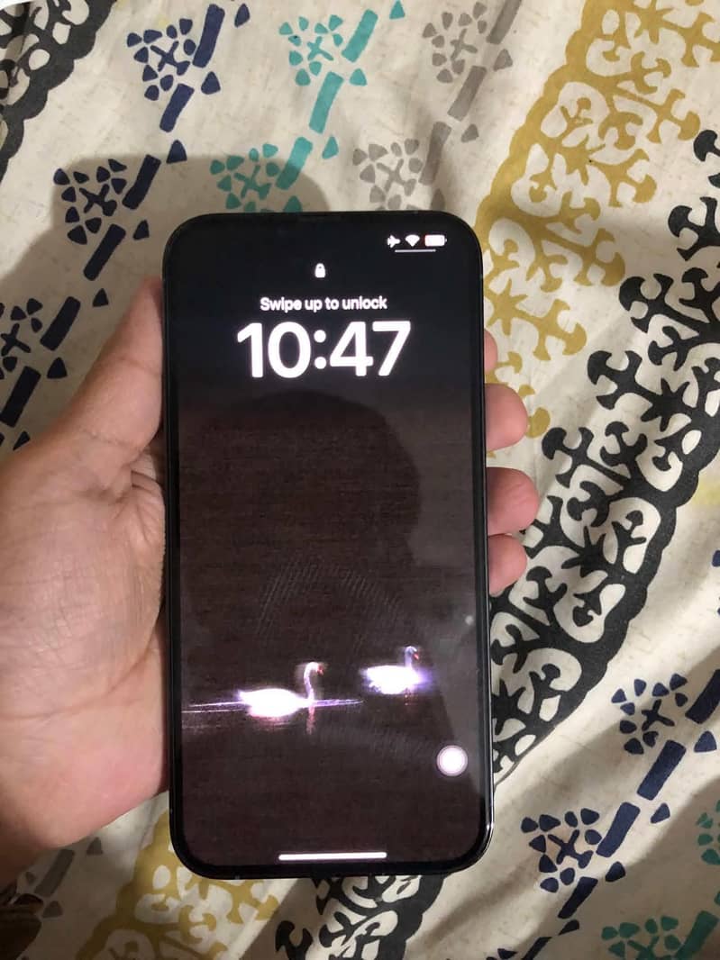 Apple iPhone 13 Pro Max 1