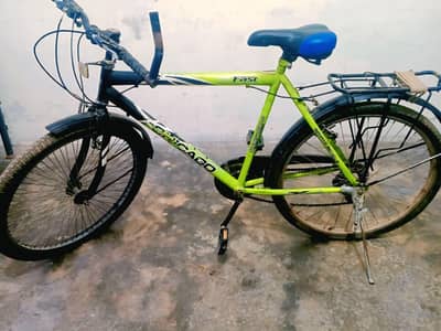 Chicago Bicycle