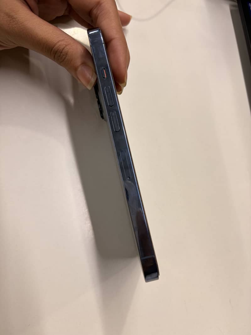 Apple iPhone 13 Pro 12