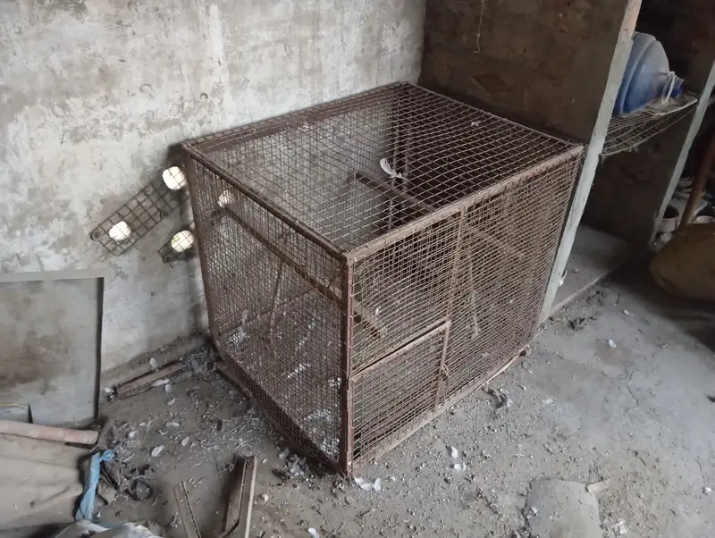 Parrot/ Pigeon Cage