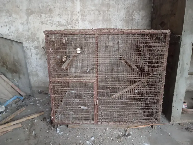 Parrot/ Pigeon Cage — photo 2