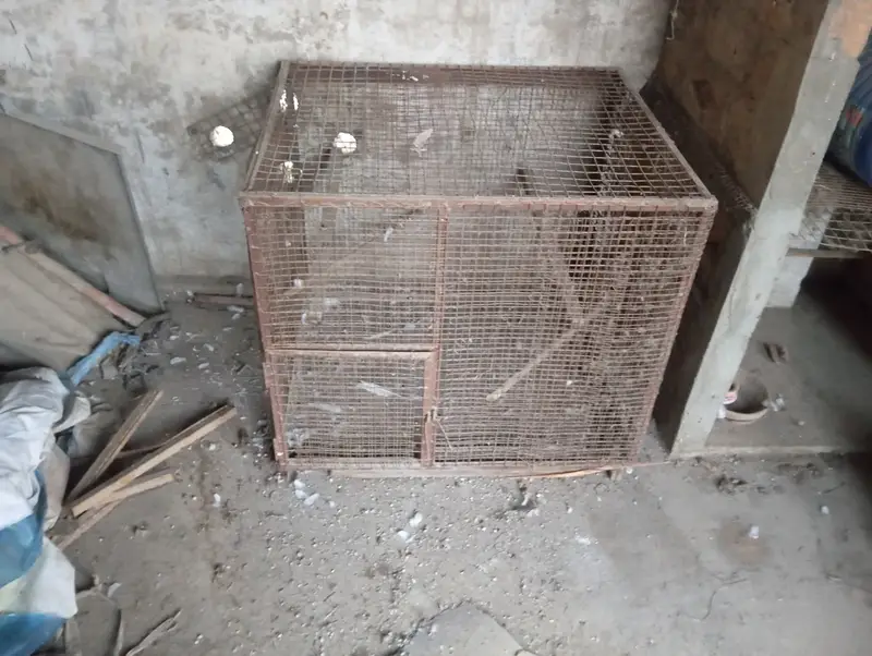 Parrot/ Pigeon Cage — photo 3