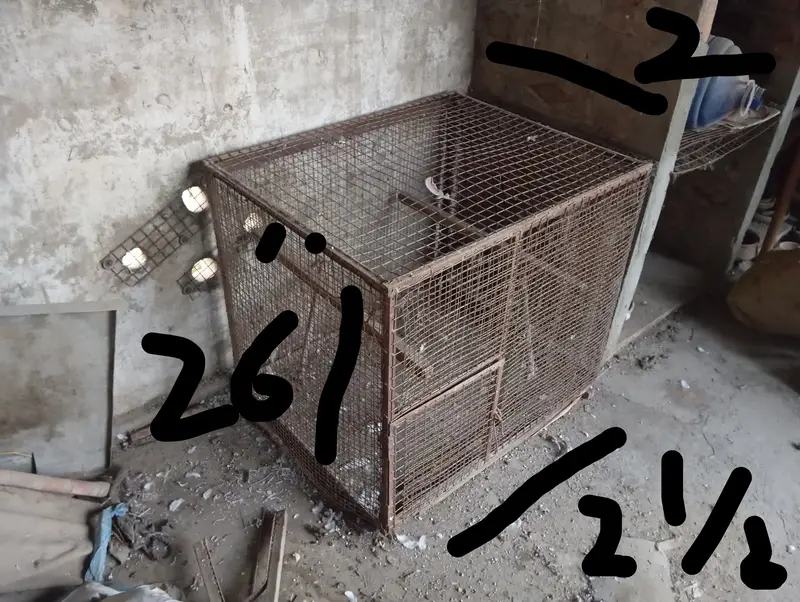 Parrot/ Pigeon Cage — photo 4
