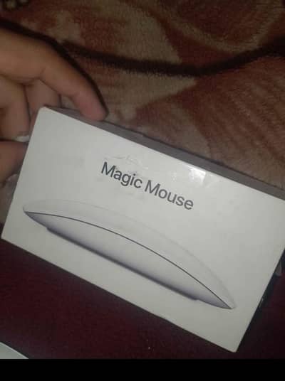 Magic mouse 2